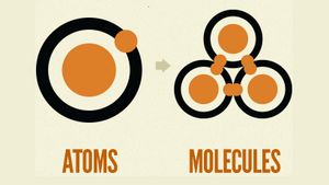 Atoms and Molecules from Brad Frost's Atomic Design