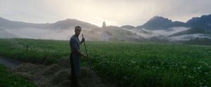 A sweeping shot of August Diehl working on a farm in the Austrian mountains